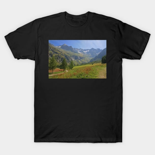 Vanoise National Park T-Shirt by RedHillDigital